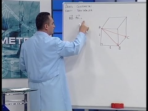Düzlemde Vektörler - BİL IQ LYS Geometri Eğitim Seti