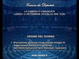 Roma - Camera - 17^ Legislatura - 670^ seduta (12..09.16)
