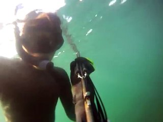 Un buzo grabó cómo fue atacado por un tiburón blanco