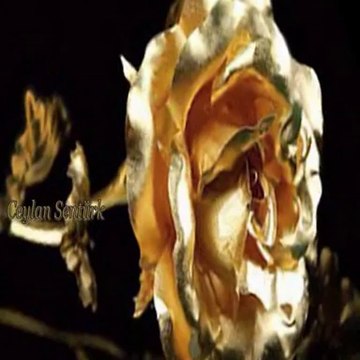 sevginin tarifi budur işte. benim yuregimdeki sevgide budur.canım aileme kızıma ve eşime aşk budur işte