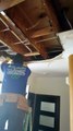 Tarzana Mold Removal and Water Damage in Los Angeles