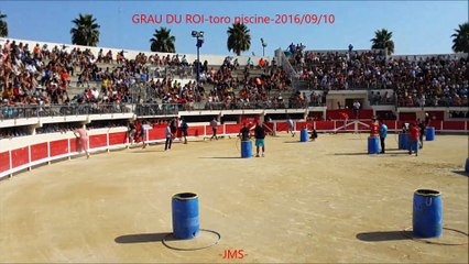 GRAU DU ROI-toro piscine-2016/09/10-Taureaux-VL