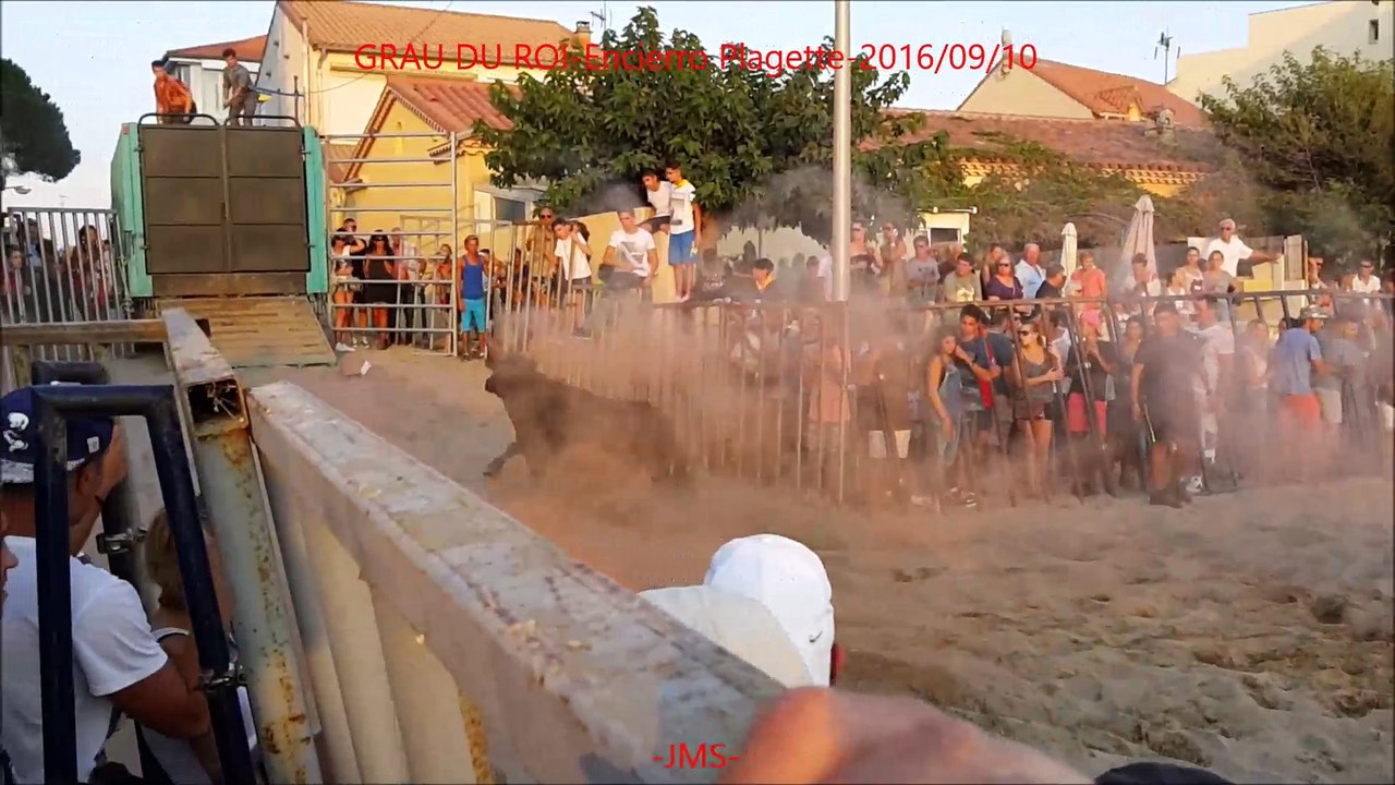GRAU DU ROI-Encierro Plagette-2016/09/10-VL