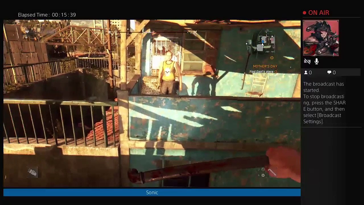 Dying light (145)