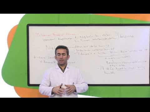 Görüntülü Akademi 10.Sınıf Tarih Görüntülü Eğitim Seti (Yıldırım Bayazıt Dönemi)