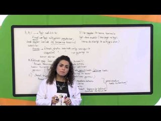 İdari Yargı Hakimliği Eşya Hukuku-Miras Hukuku