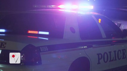 Cop Says He Was Fired For Not Killing A Man