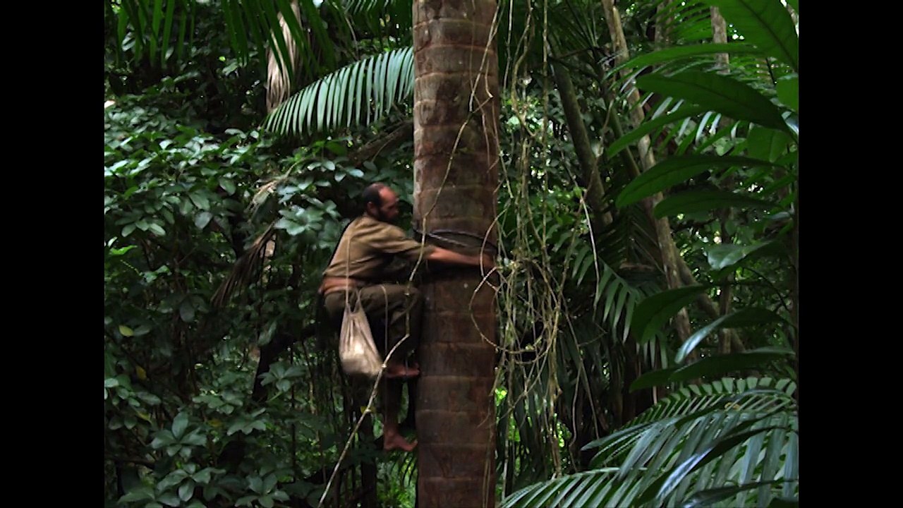 HISTÓRIA NATURAL