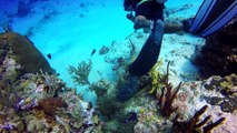 Scuba Diving - Cozumel, Mexico