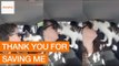 Rescued Kitten Thanks New Owner Affectionately