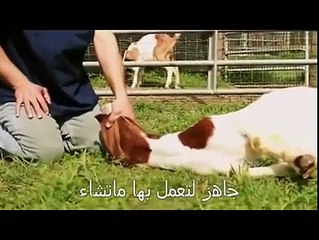 معجزة ودليل قاطع أن الإسلام دين الحق