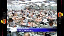 Pocos empleos genera sector industrial