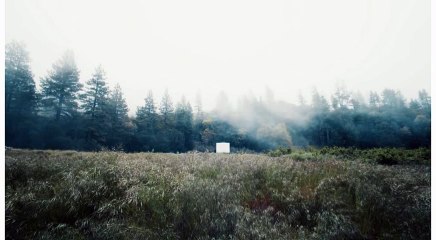 Pesquisa de Mono - One Plus Trad