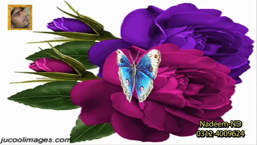 De KaR Humein  Fareb e WaFa Full HD 1080p