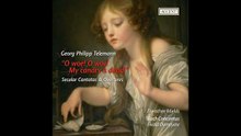 Hidden treasures - Georg Philip Telemann - Ouverture burlesque (1717-22)