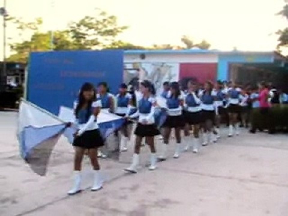 banderolas cetmar no.20