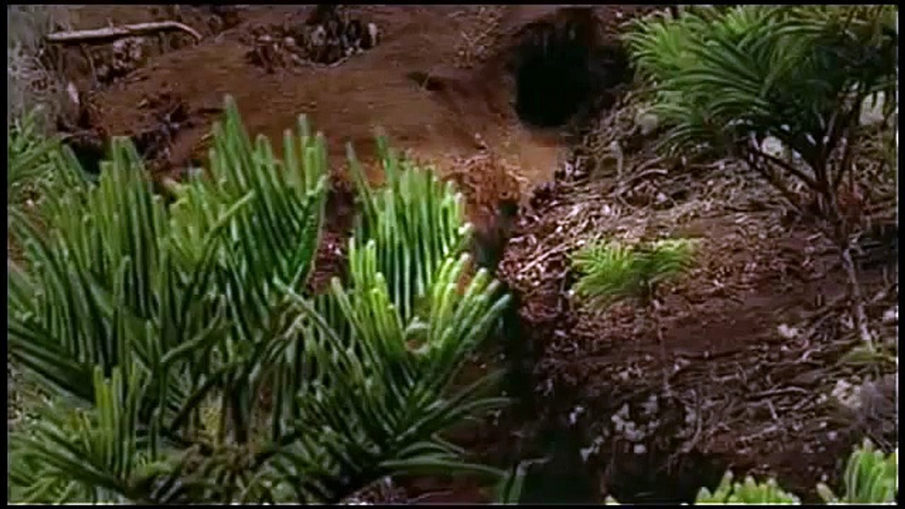 Dinosaurios Gigantes | Documentales de History Channel en español