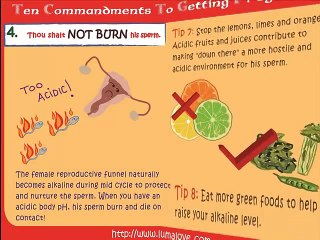 Top 10 Getting Pregnant Commandments Hilarious Funny