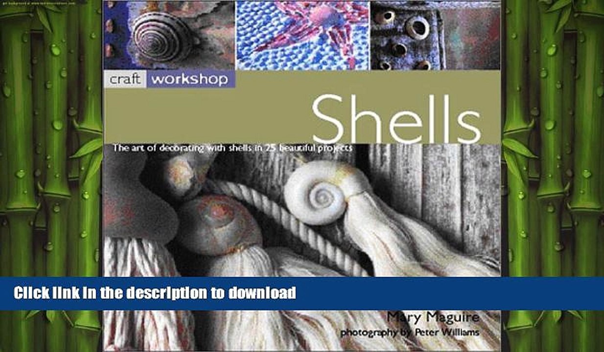 GET PDF  Craft Workshop: Shells  PDF ONLINE