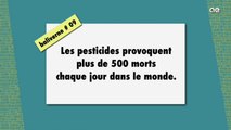 baliverne 09 :  les  pesticides provoquent 500 morts chaque jour dans le monde