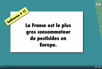 La France est le plus gros consommateur de pesticides en Europe / BALIVERNE #11
