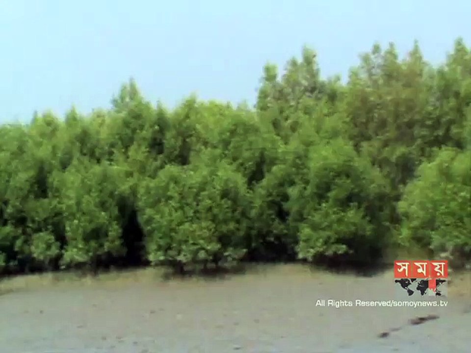 সুন্দরবন থেকে ২৫ জেলে অপহৃত