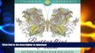 FAVORITE BOOK  Butterflies   Moths Pattern Coloring Book For Adults (Butterfly Coloring and Art
