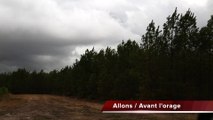 Lot-et-Garonne : à Allons, dans les Landes de Gascogne, avant l'orage