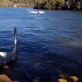 Un homme en Jetski se crashe lourdement contre un muret