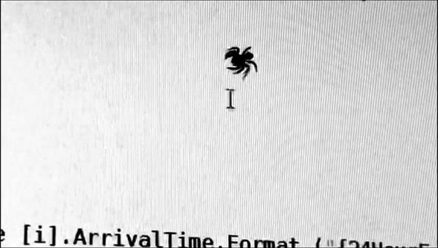Une vraie araignée essaye de manger le curseur de sa souris sur son ordinateur