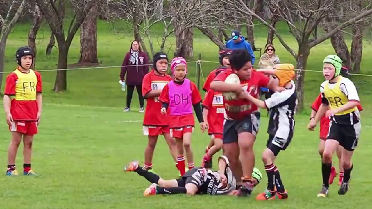 Il pulvérise ses adversaires pour marquer un essai