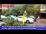 CSGT chặt cây, dọn đường giúp phương tiện lưu thông