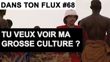 Tu veux voir ma grosse culture ? #DansTonFlux 68