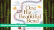 FAVORITE BOOK  One Big Beautiful Bead: Simple Jewelry with Focal Beads (Lark Jewelry Books)  GET