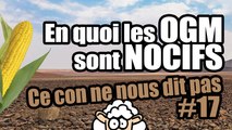 En quoi les OGM sont NOCIFS - Ce con ne nous dit pas #17