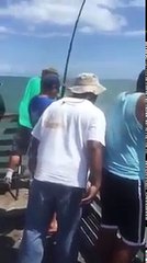 Un requin vole la prise d'un pêcheur !