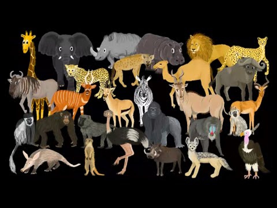 African Animals - The Kids' Picture Show (Fun & Educational Learning