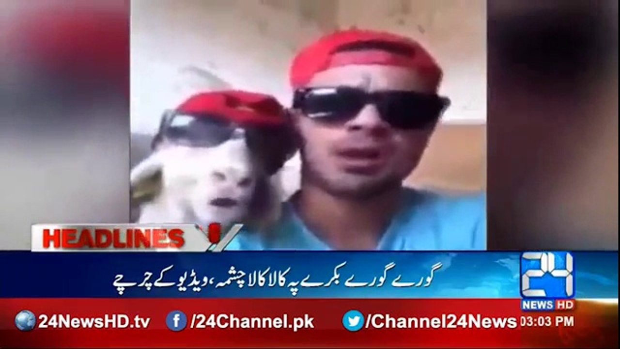 Bakra Rap with glasses - Funny Video