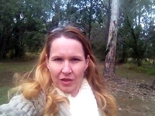 Welcome to Discovering the Queen Path