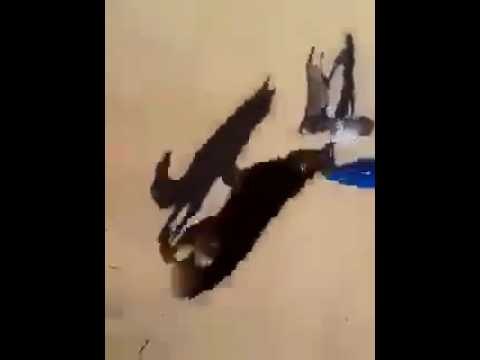 لبنانين يعذبون طفل سوري لاجئ بكلب مفترس وينادون سوري , سوري