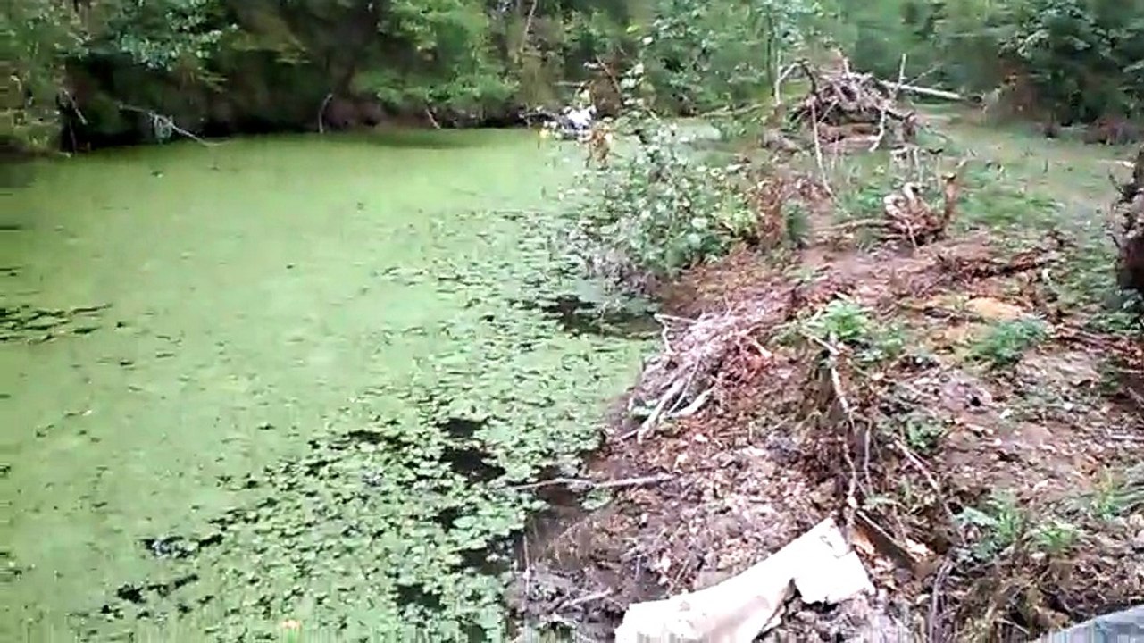 pagaie aviron pour bateau annexe rigide et pneumatique