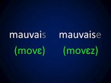 Aprender Francés   Lección 25   Vocabulario Adjetivos y Colores