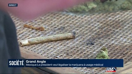Grand Angle : pourquoi veut-on à tout prix éviter la douleur?