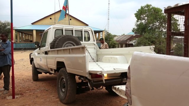 Traffic illégal de perroquets au Congo