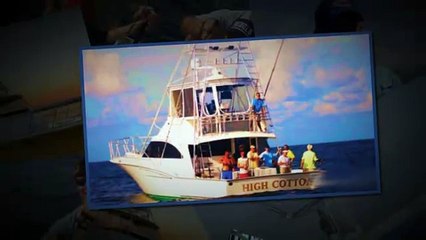 Tampa Fishing Charters