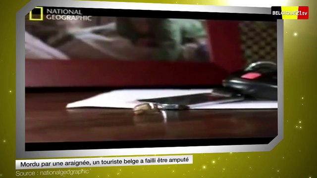 Mordu par une araignée, un touriste belge a failli être amputé