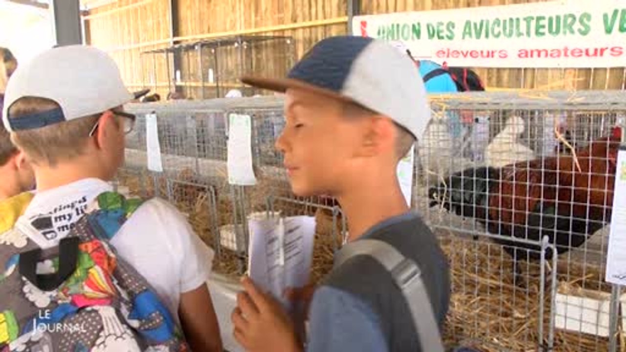 Les Terres de Jim 2016 : Les animations proposées (Vendée)