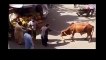 Cow Attack on People - Anari qasai - Islamabad Eid qurbani - Bakra Eid