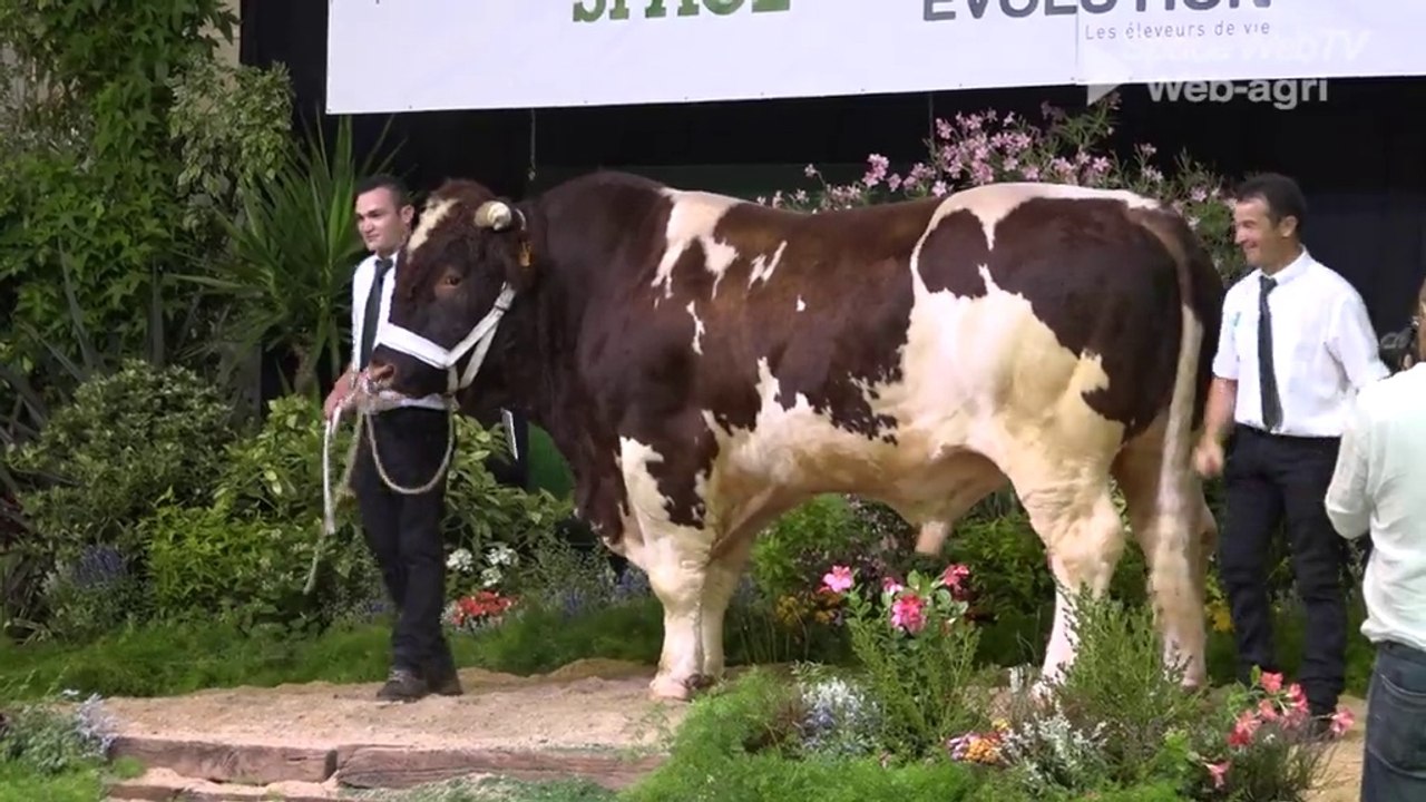 Concours national Rouge des Prés au Space : H.Ménard et D.Cadet remportent les championnats