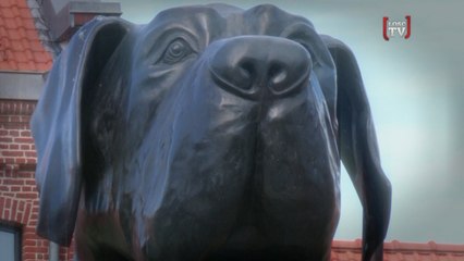 Un Zapping de Wouf !